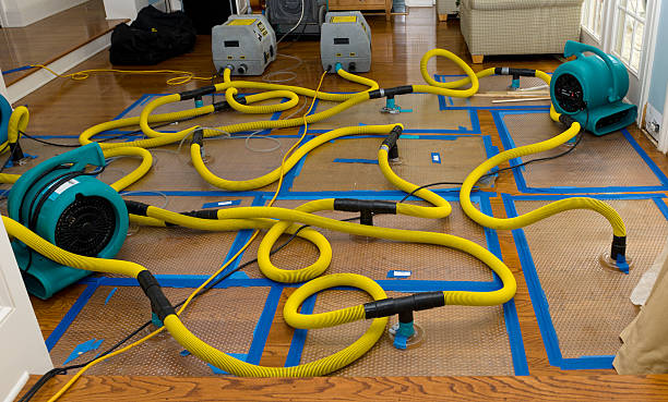 Professional Crawl Space Water Removal technician working in Gillette, WY